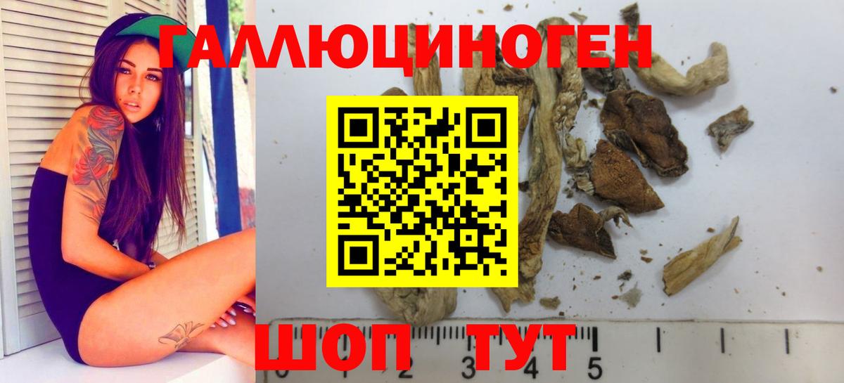 Анапа  продажа наркотиков  Вход с VPN  Псилоцибиновые грибы Cubensis 
